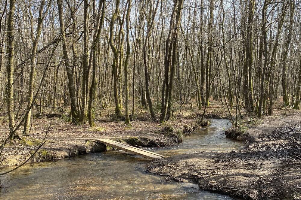 Photo of Others in Les Mazures