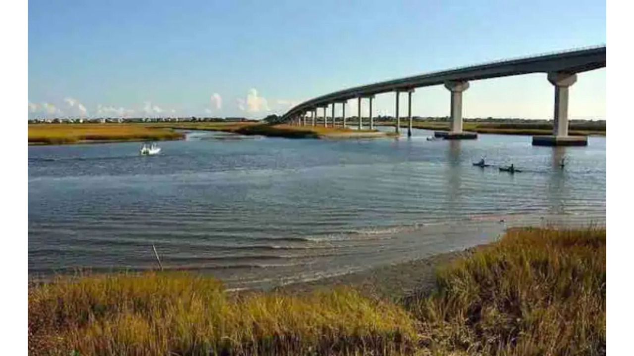 Photo of Others in Sea Trail