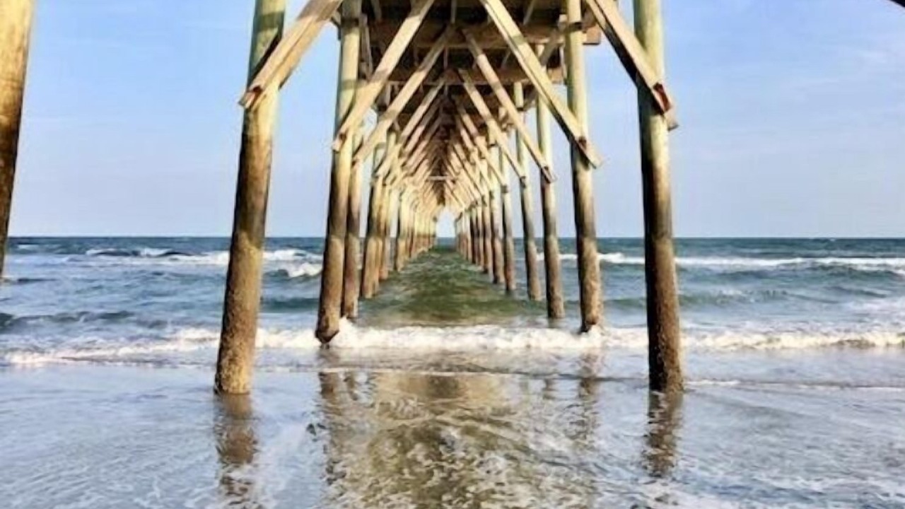 Photo of Others in Sea Trail