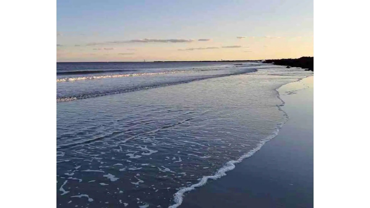 Photo of Others in Sea Trail