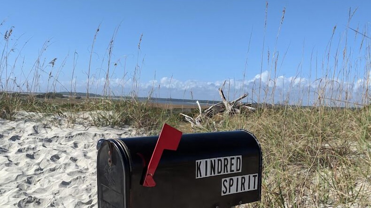 Photo of Others in Sea Trail