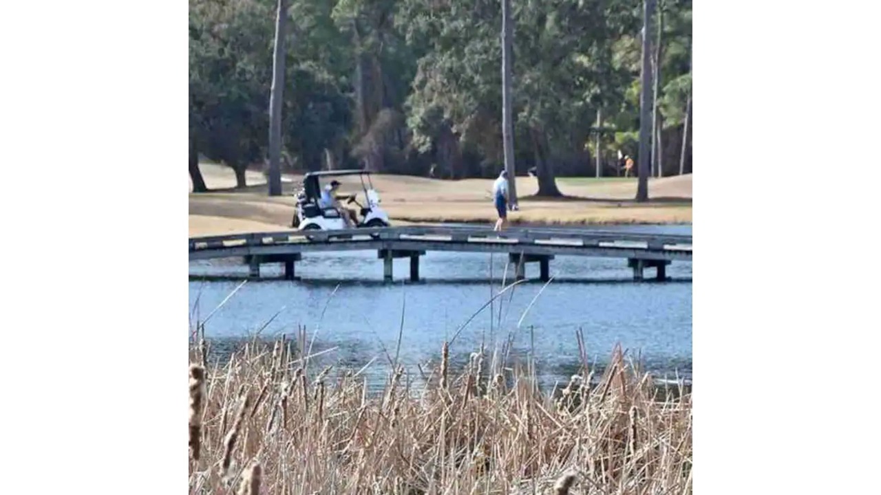 Photo of Others in Sea Trail
