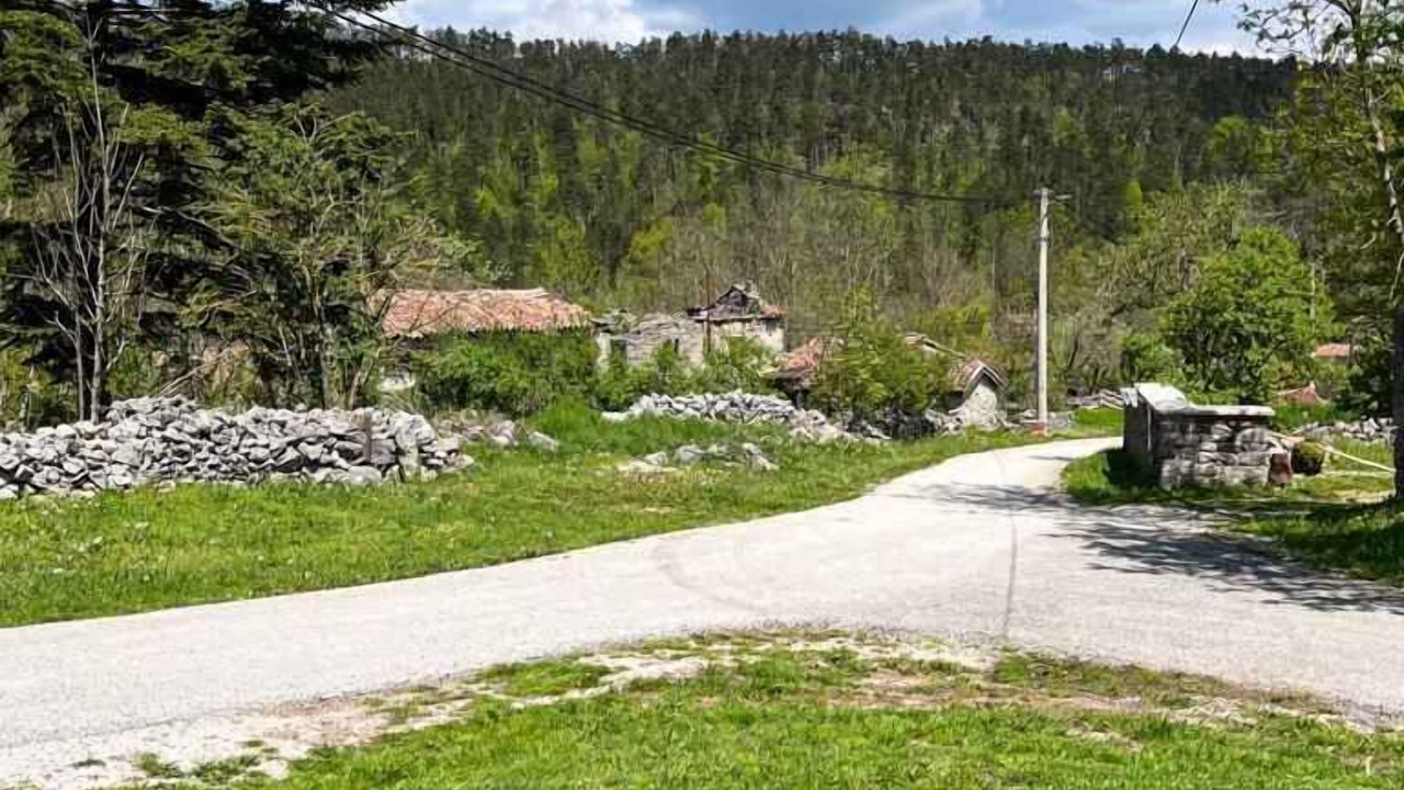 Photo of Outdoor in Lanisce