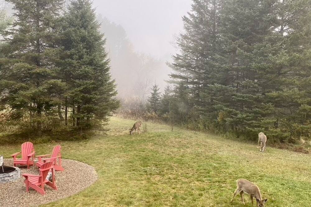 Photo of Outdoor in Arundel