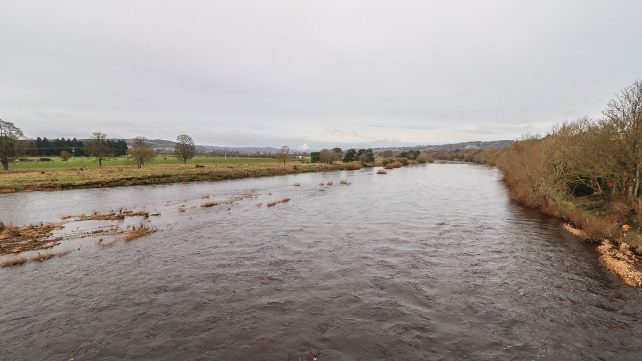 Photo of Others in Corbridge