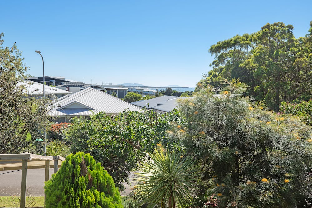 Photo of Others in Red Head