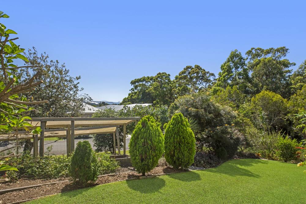 Photo of Others in Red Head