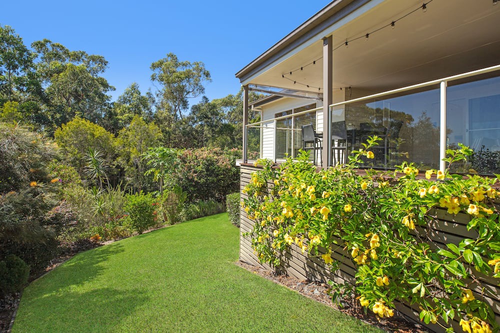 Photo of Others in Red Head