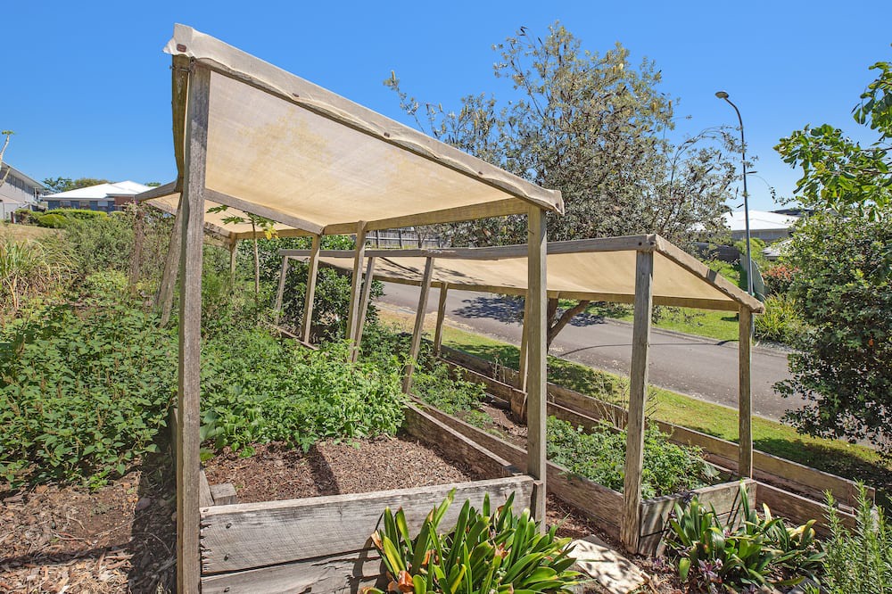 Photo of Others in Red Head