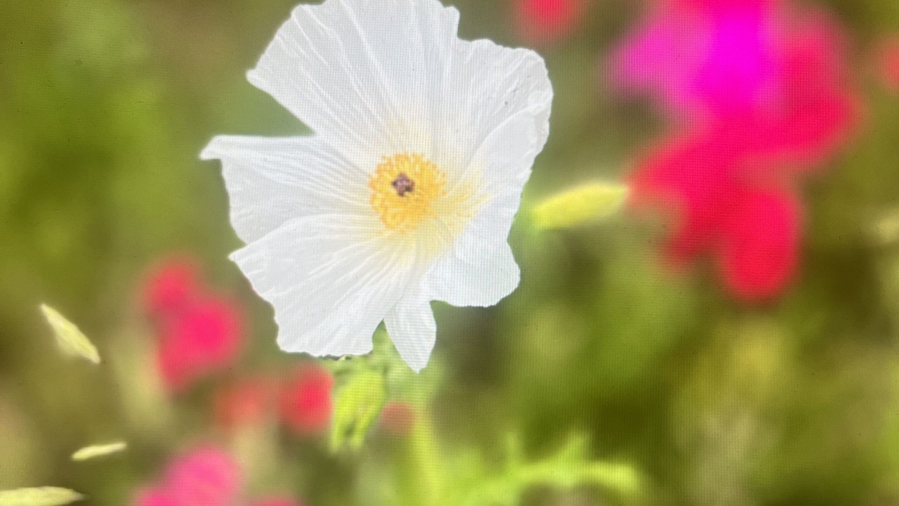 Photo of Outdoor in Bastrop