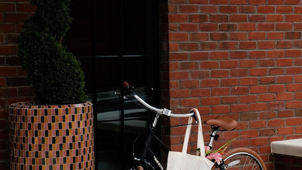 Photo of Outdoor in Lexington