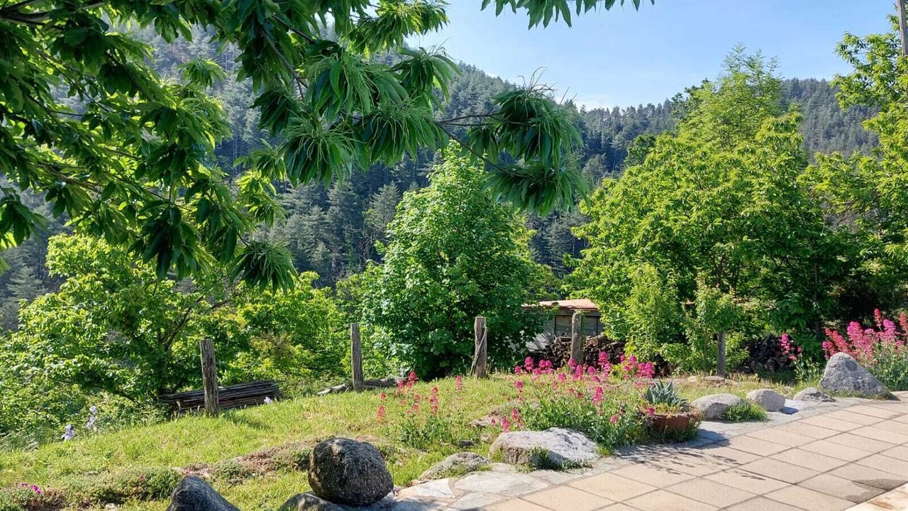 Photo of Outdoor in Ponteils-et-Bresis