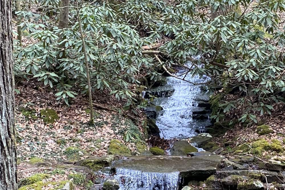 Photo of Outdoor in Fourmile