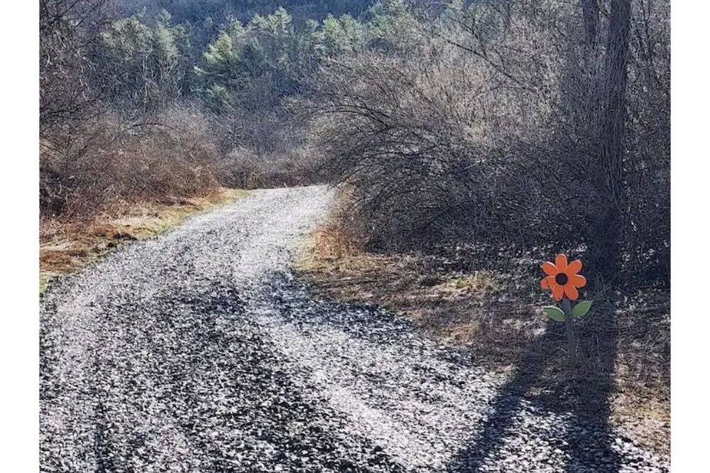 Photo of Outdoor in Corning