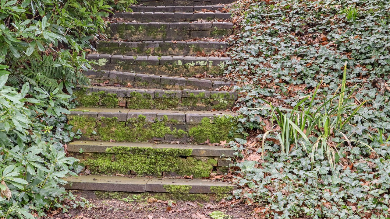 Photo of Outdoor in Pevensey