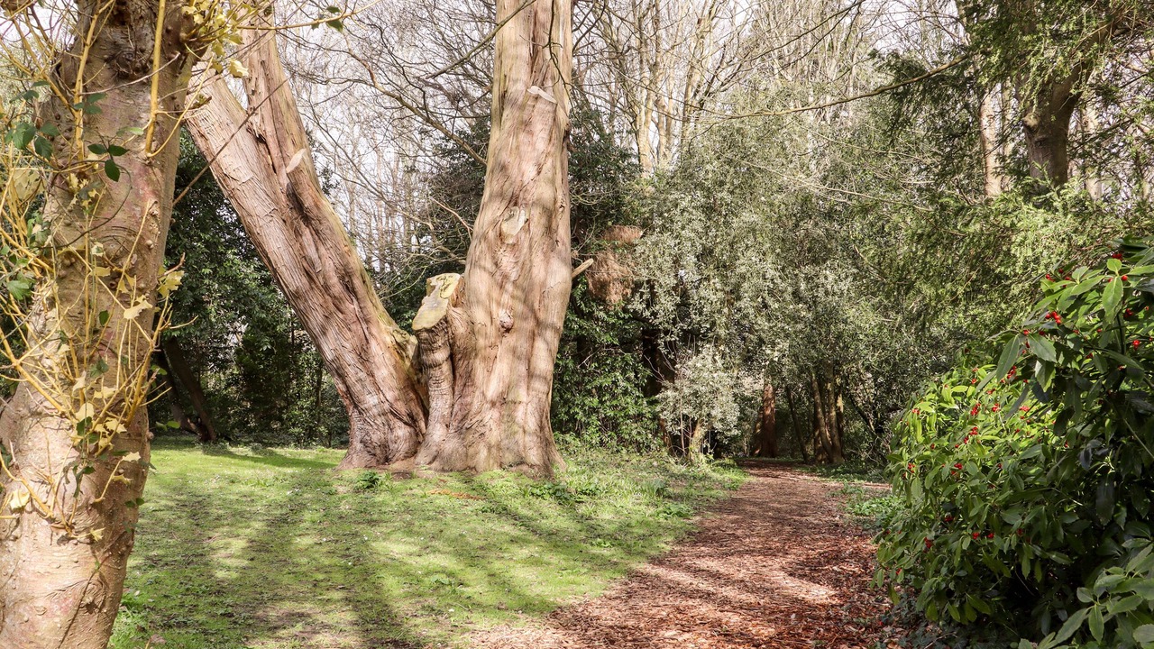 Photo of Outdoor in Pevensey