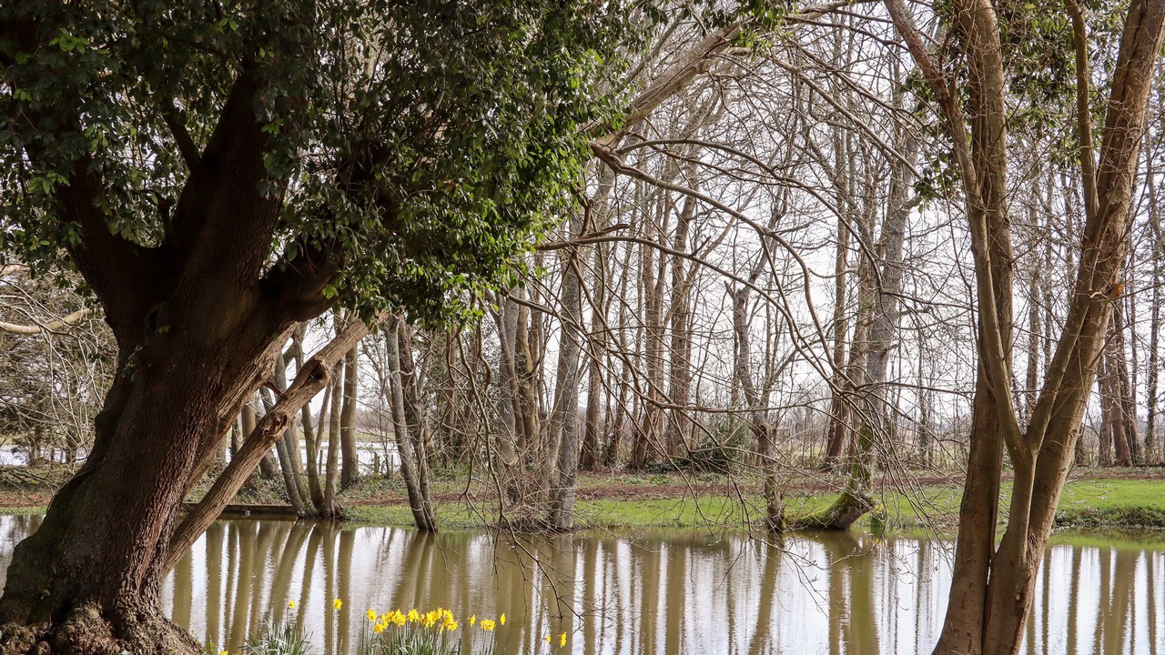 Photo of Others in Pevensey