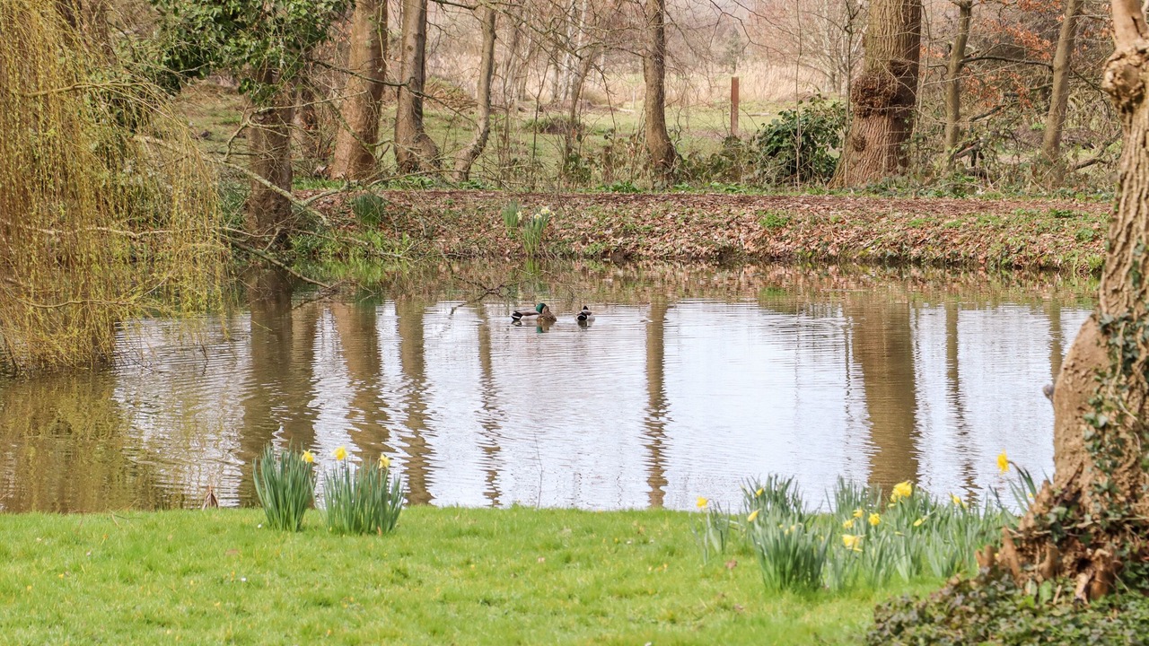 Photo of Outdoor in Pevensey