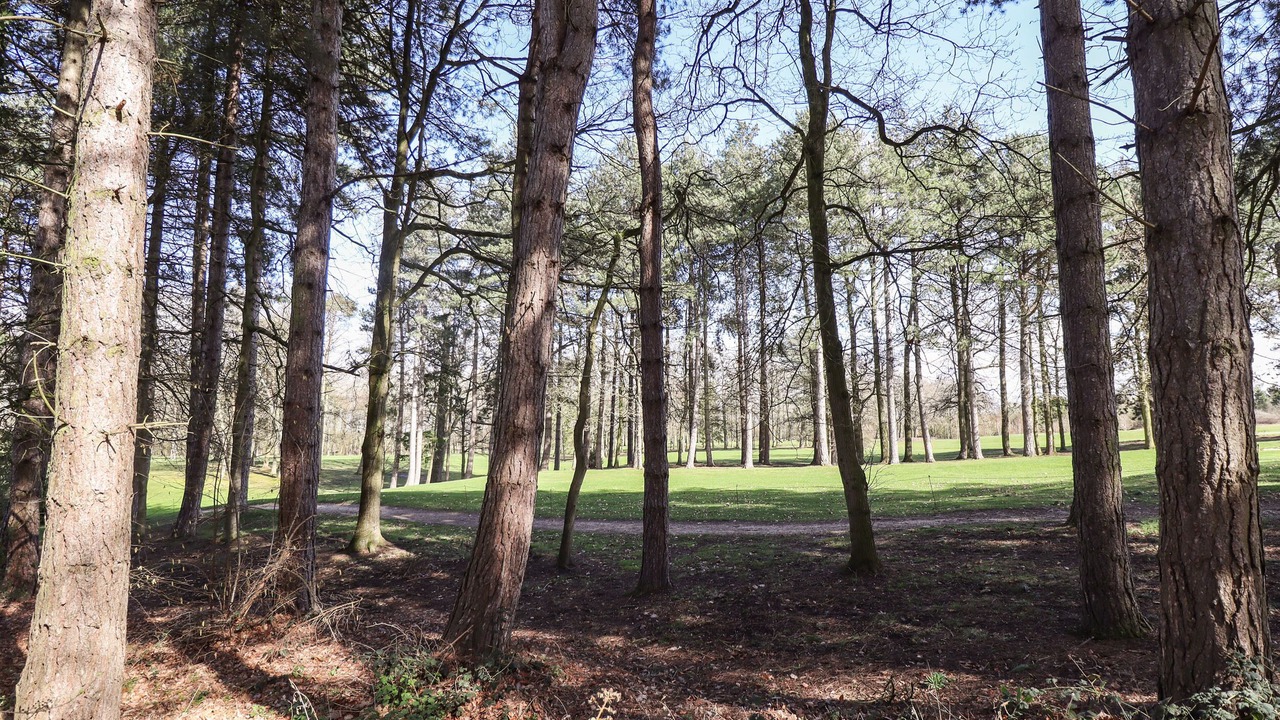 Photo of Outdoor in Louth