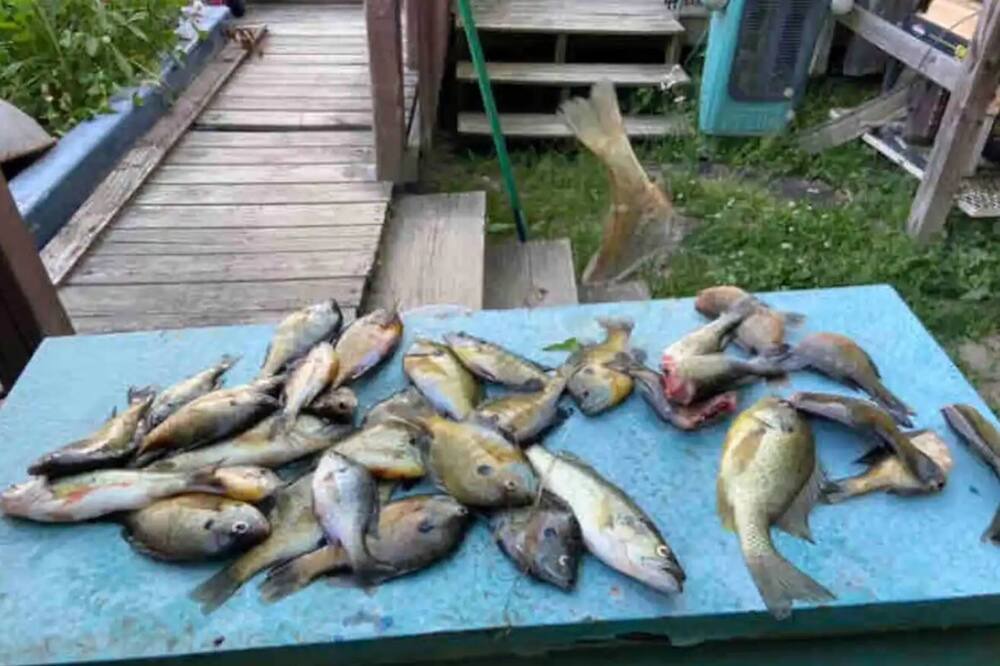 Photo of Others in Chillicothe