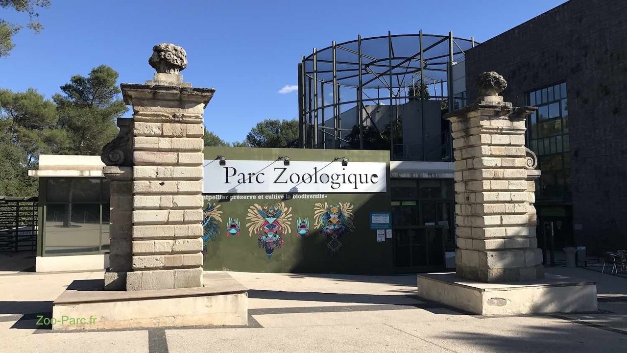 Photo of Outdoor in Montferrier-sur-Lez