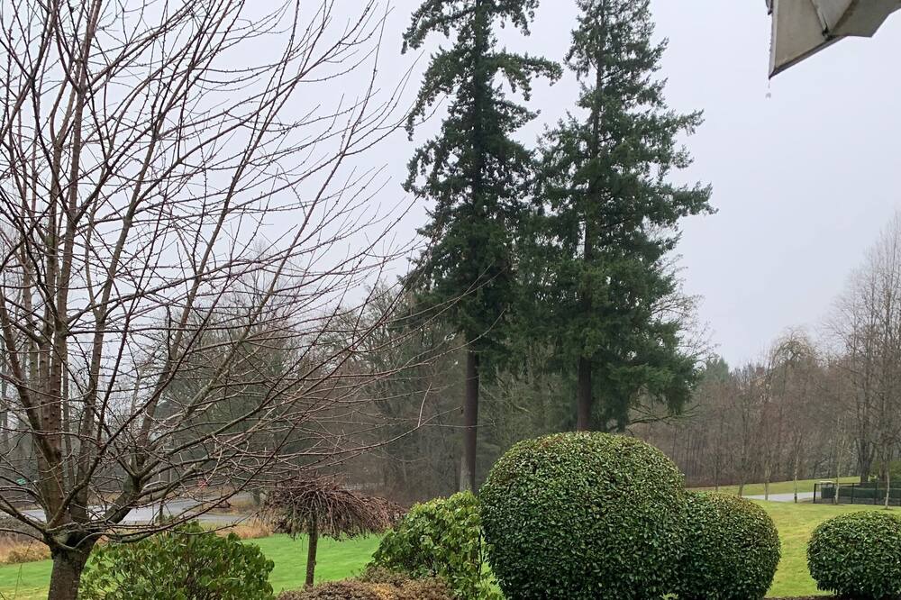 Photo of Outdoor in Snohomish