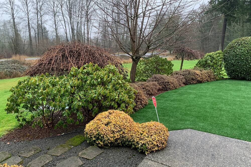 Photo of Outdoor in Snohomish