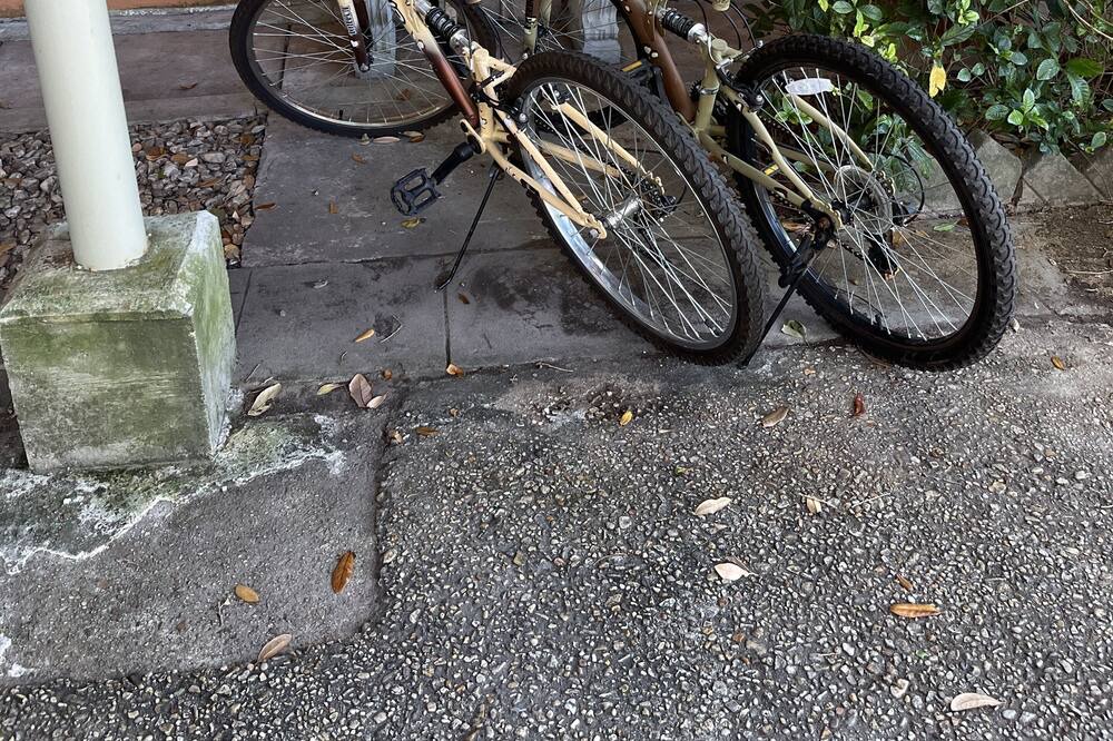 Photo of Outdoor in Seventh Ward