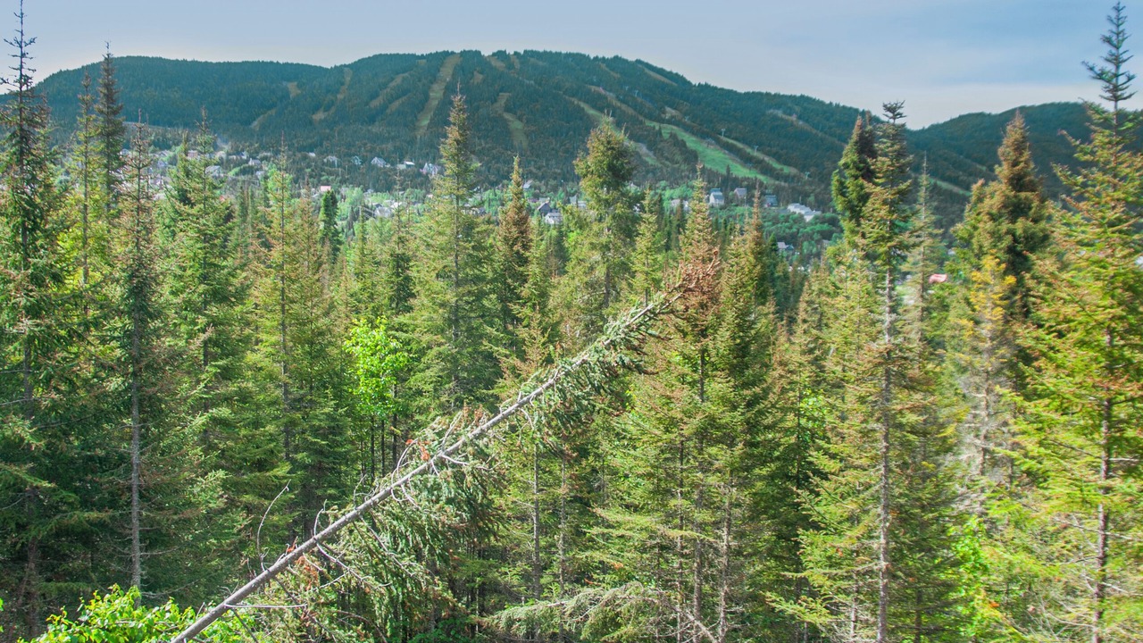 Photo of Outdoor in Saint-David-de-Falardeau