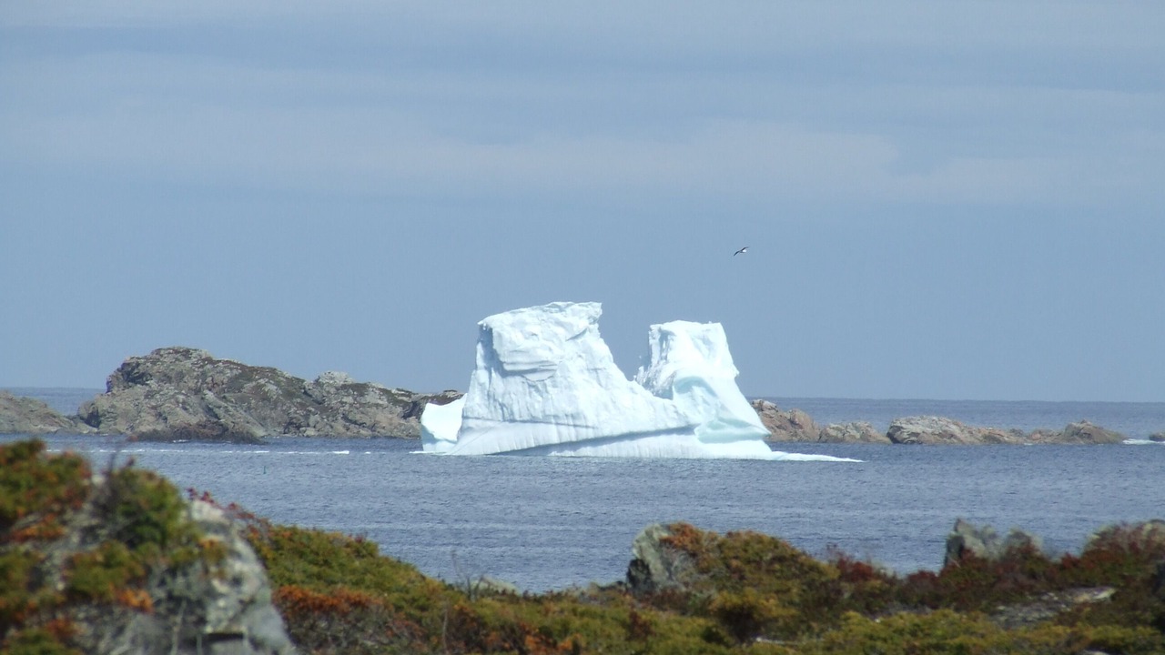 Photo of Others in Twillingate