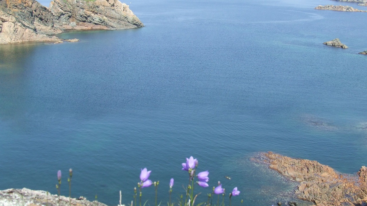Photo of Outdoor in Twillingate