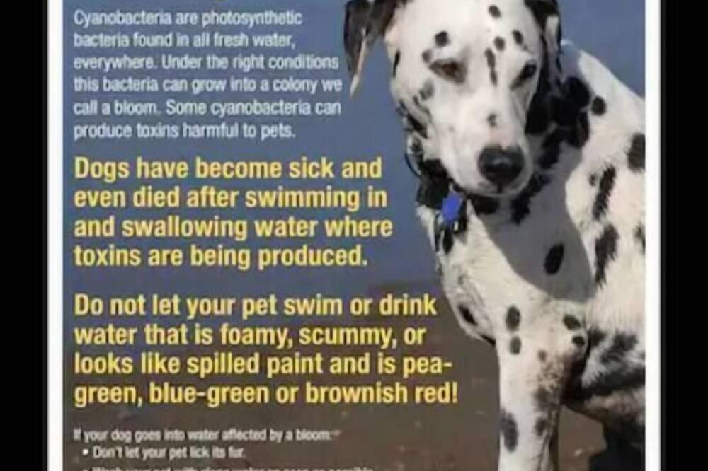 Photo of Others in Lakeside