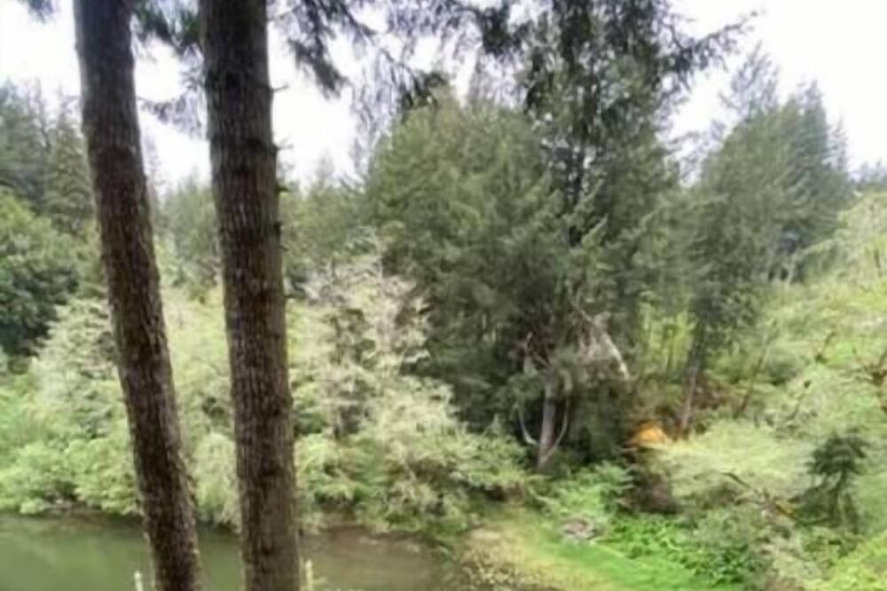 Photo of Others in Lakeside