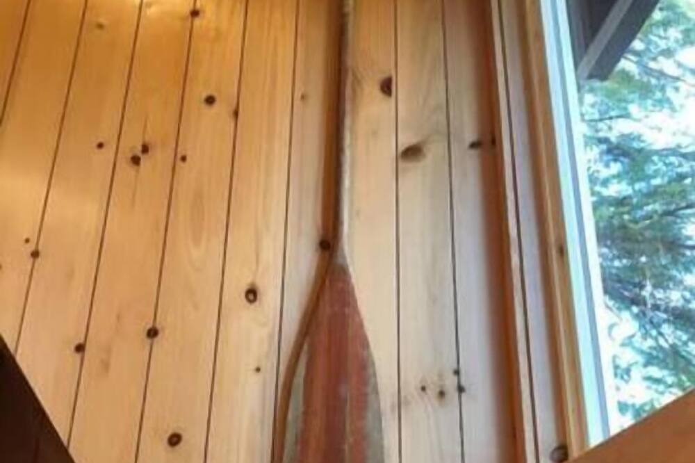 Photo of Others in Lakeside