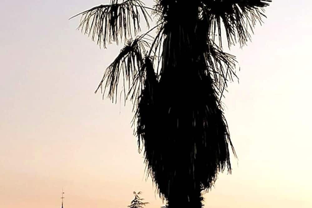 Photo of Others in Montech