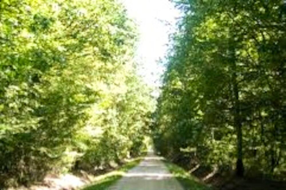 Photo of Others in Montech