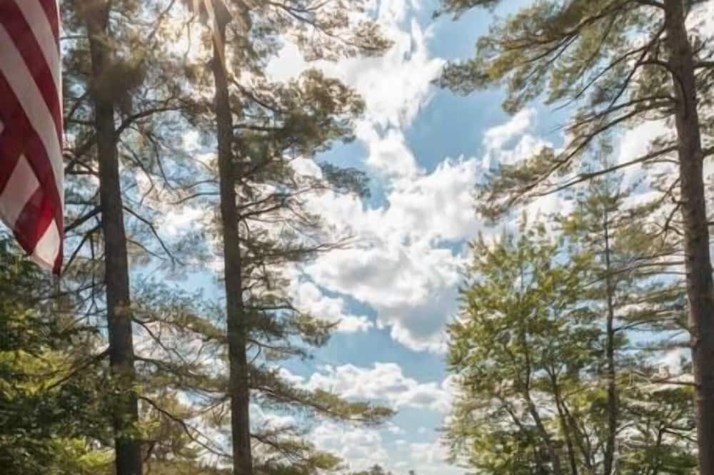 Photo of Outdoor in Center Harbor