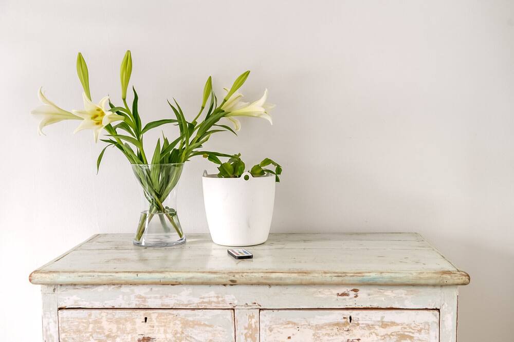 Photo of Others in Dalston