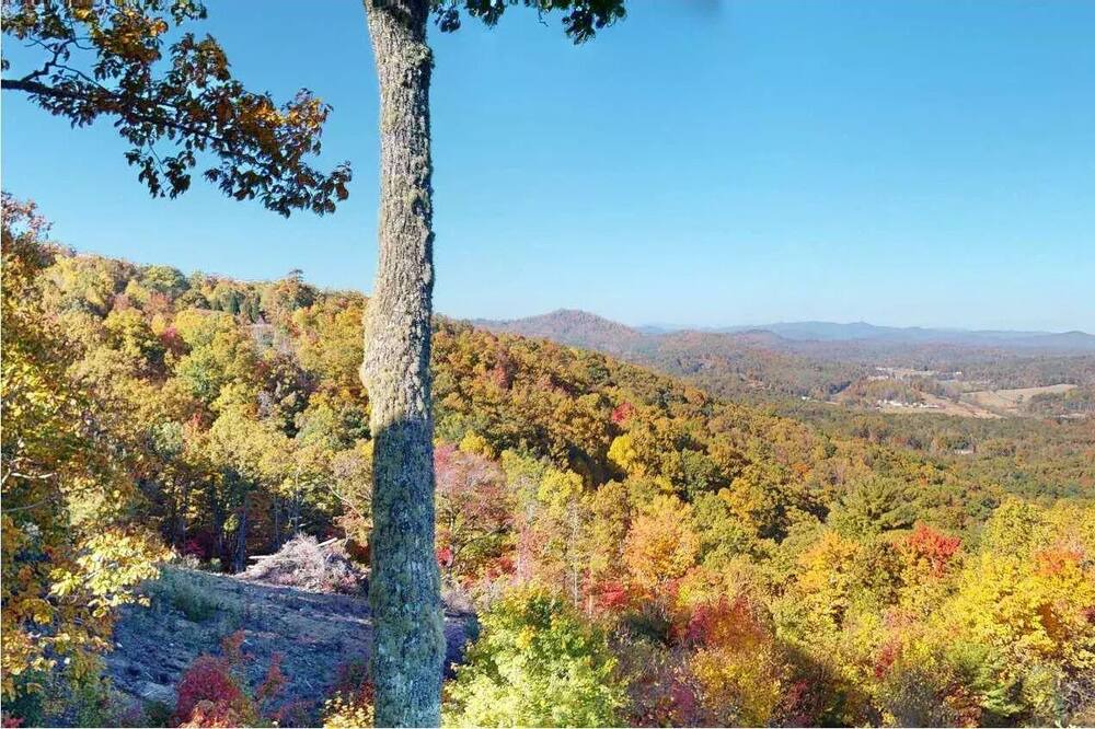 Photo of Outdoor in Brasstown