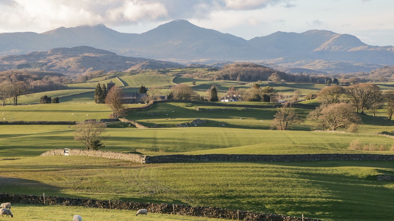 Photo of Others in Broughton Mills