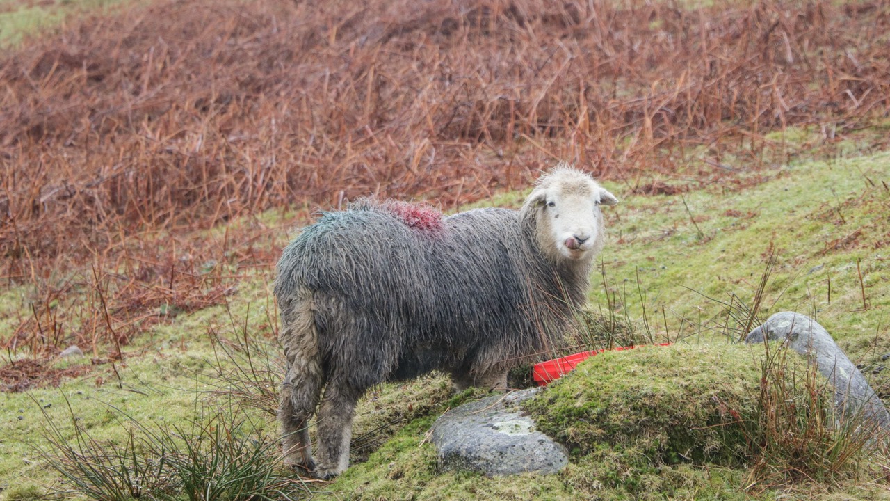 Photo of Others in Broughton Mills