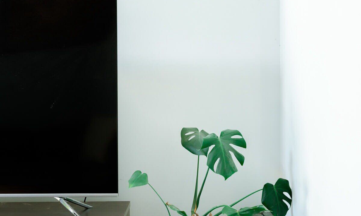 Photo of Others in Bendigo