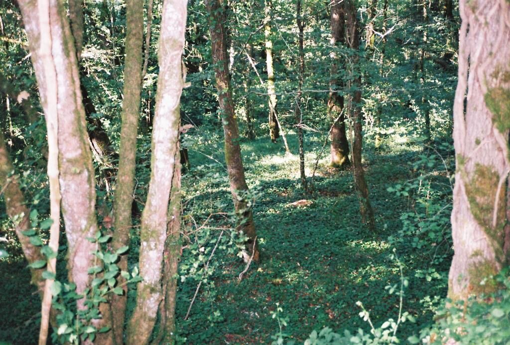 Photo of Outdoor in Frespech