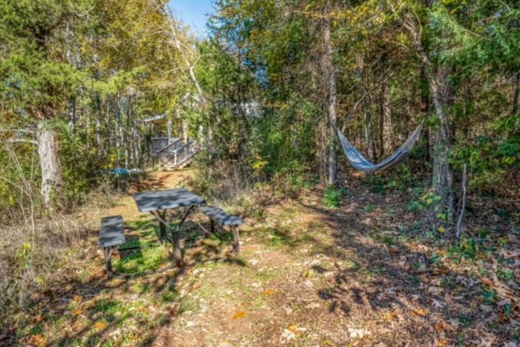 Photo of Outdoor in Lindale