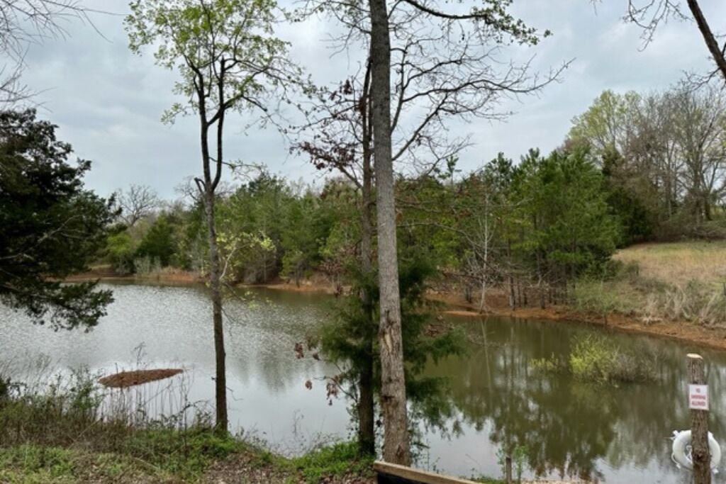 Photo of Outdoor in Lindale