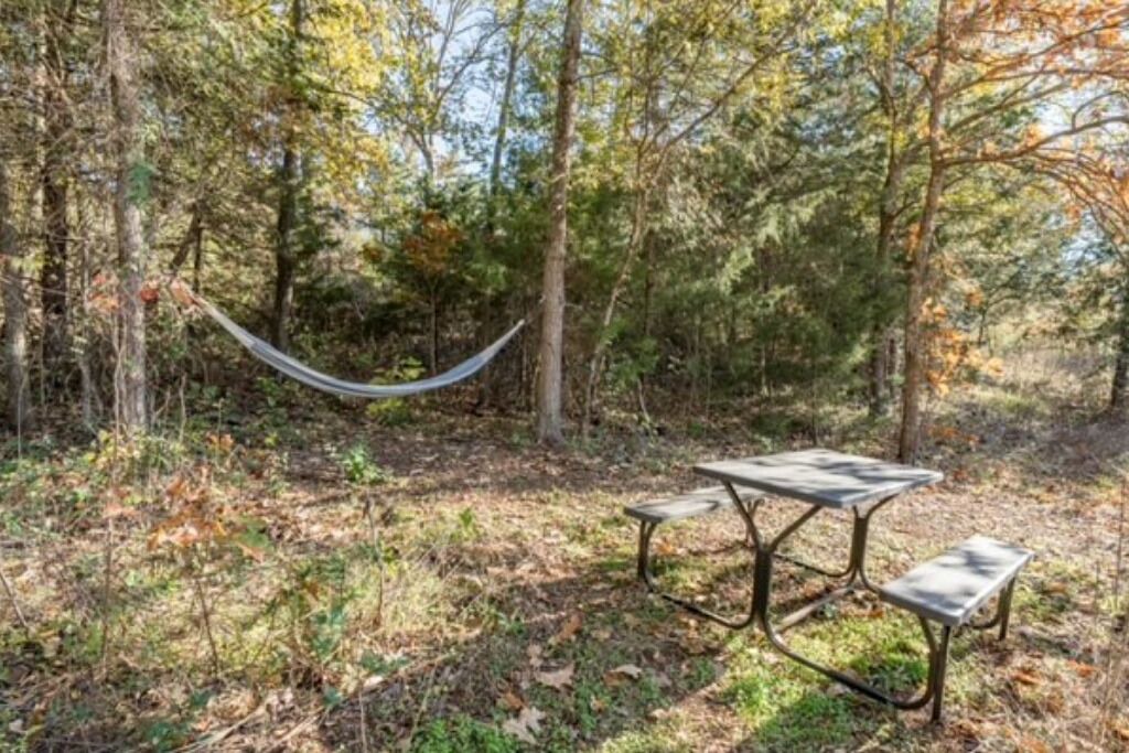 Photo of Outdoor in Lindale