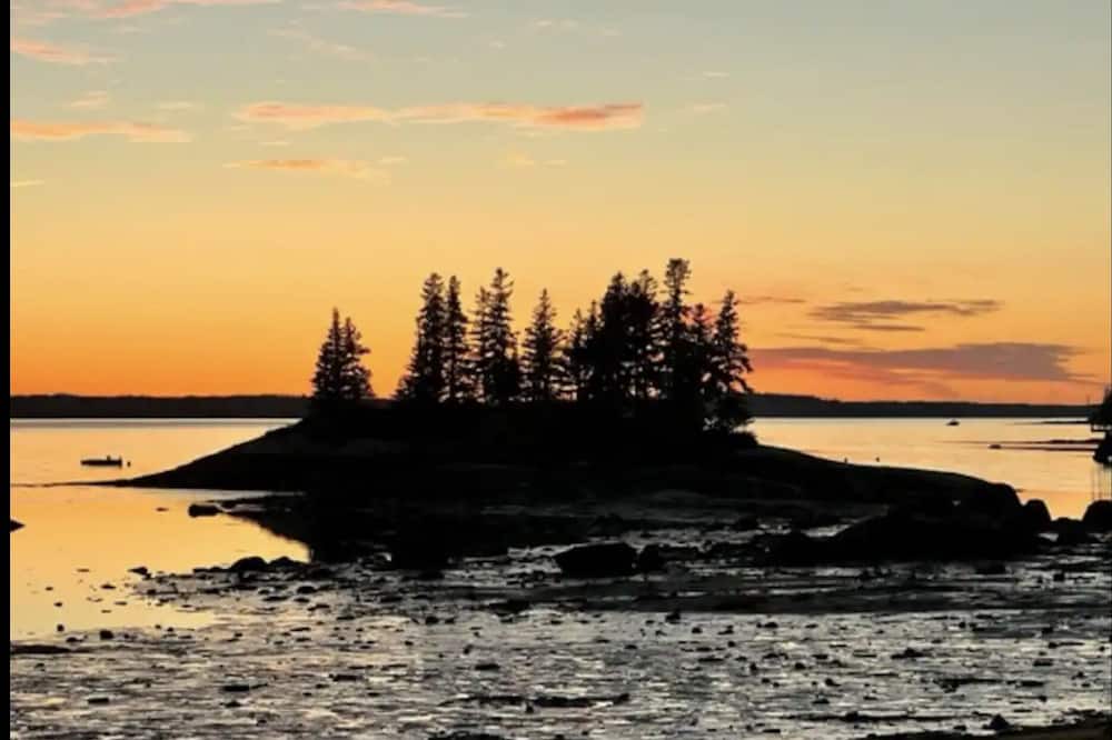 Photo of Others in Brooklin