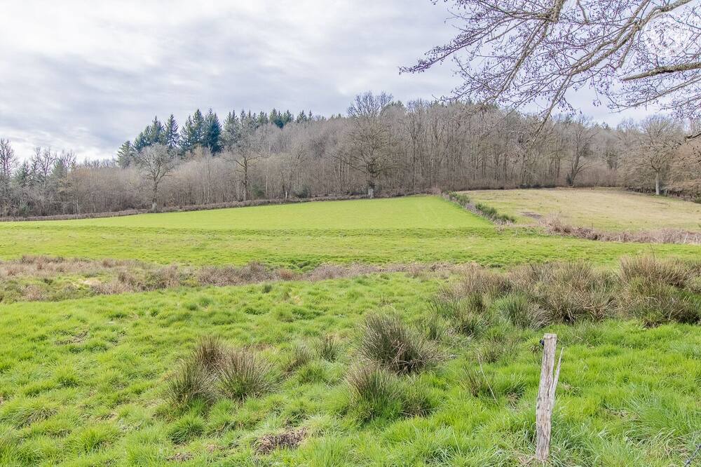 Photo of Outdoor in Cussy-en-Morvan