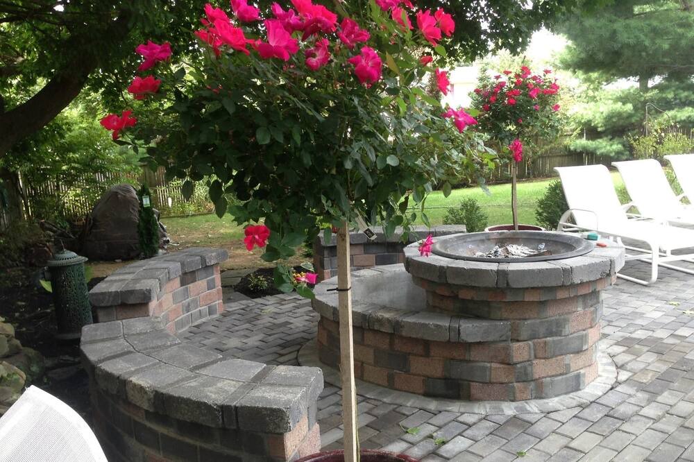 Photo of Outdoor in Kings Park