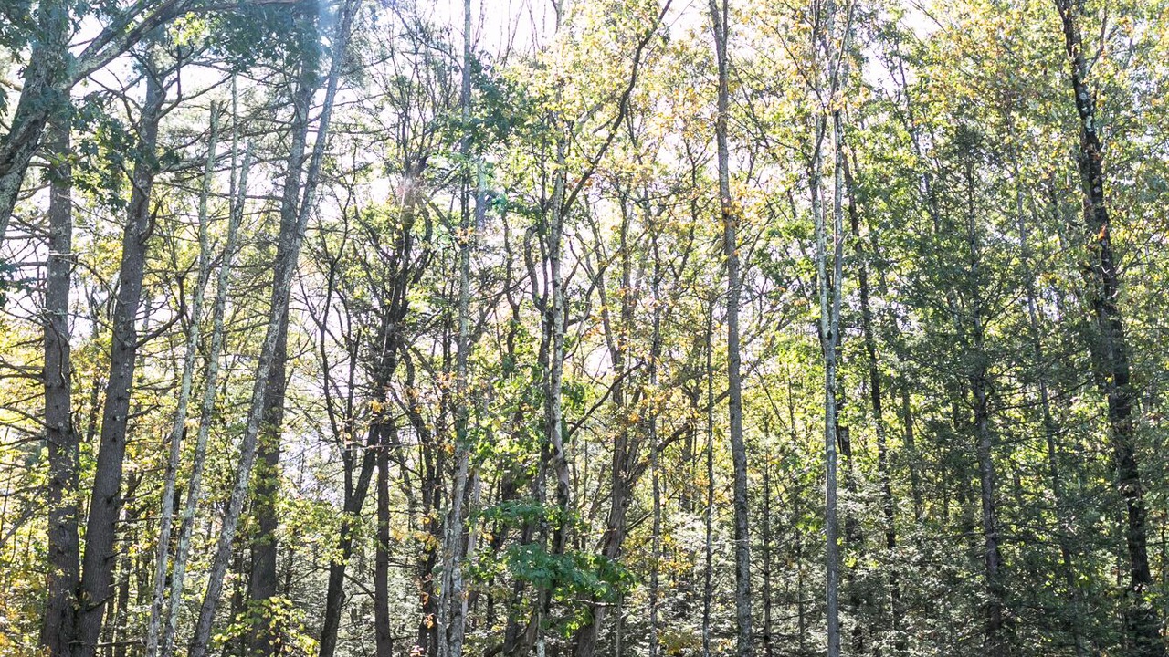 Photo of Outdoor in Olivebridge